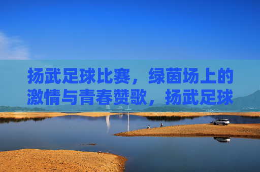扬武足球比赛,绿茵场上的激情与青春赞歌,扬武足球比赛,绿茵场上的激情与青春赞歌