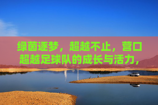 绿茵逐梦，超越不止，营口超越足球队的成长与活力，绿茵逐梦，超越不止，营口超越足球队的成长与活力