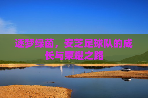 逐梦绿茵,安芝足球队的成长与荣耀之路