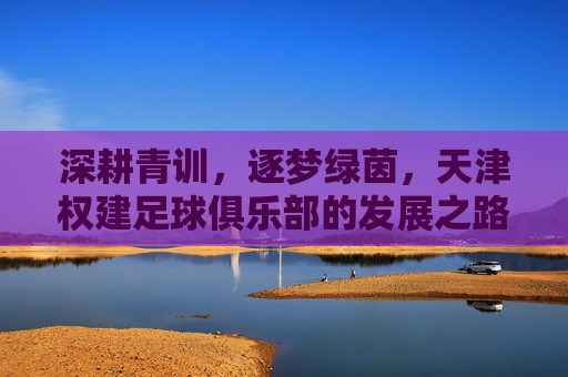 深耕青训,逐梦绿茵,天津权建足球俱乐部的发展之路与未来展望