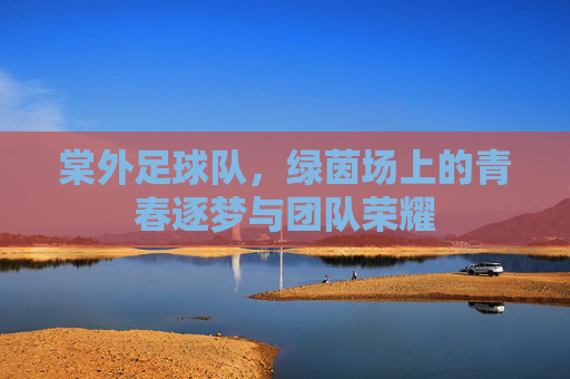 棠外足球队,绿茵场上的青春逐梦与团队荣耀