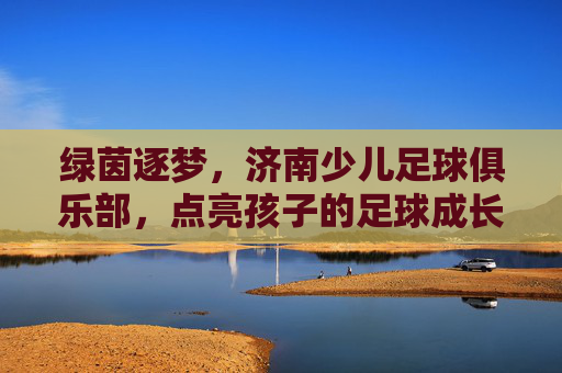 绿茵逐梦，济南少儿足球俱乐部，点亮孩子的足球成长之路，绿茵逐梦，济南少儿足球俱乐部点亮孩子的足球成长之路