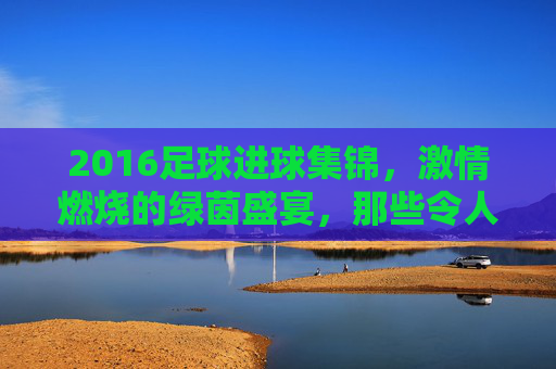 2016足球进球集锦，激情燃烧的绿茵盛宴，那些令人屏息的瞬间，2016足球进球集锦，激情燃烧的绿茵盛宴，那些令人屏息的瞬间