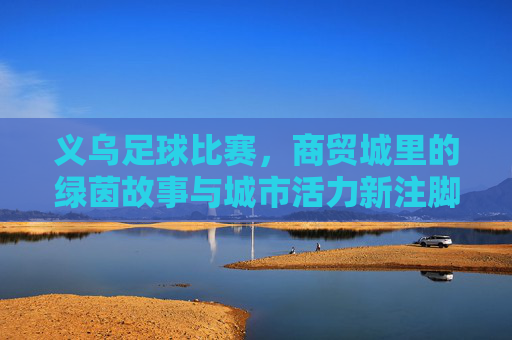 义乌足球比赛，商贸城里的绿茵故事与城市活力新注脚，义乌足球比赛，商贸城里的绿茵故事与城市活力新注脚