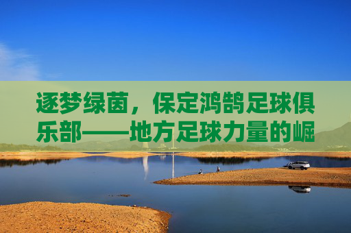 逐梦绿茵,保定鸿鹄足球俱乐部——地方足球力量的崛起与职业化征程,逐梦绿茵,保定鸿鹄足球俱乐部——地方足球力量的崛起与职业化征程