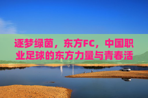 逐梦绿茵，东方FC，中国职业足球的东方力量与青春活力，逐梦绿茵，东方FC，中国职业足球的东方力量与青春活力