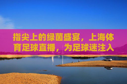 指尖上的绿茵盛宴，上海体育足球直播，为足球迷注入实时激情与归属感，指尖上的绿茵盛宴，上海体育足球直播，为足球迷注入实时激情与归属感