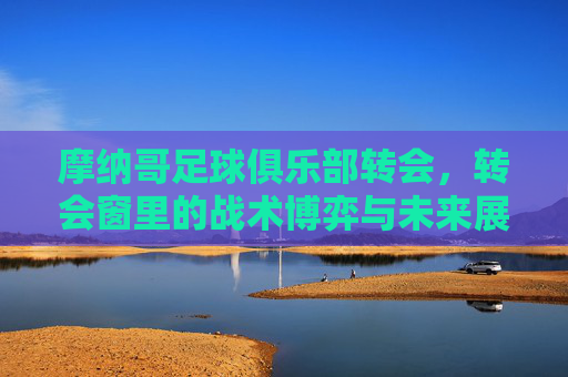 摩纳哥足球俱乐部转会,转会窗里的战术博弈与未来展望,摩纳哥足球俱乐部转会,转会窗里的战术博弈与未来展望
