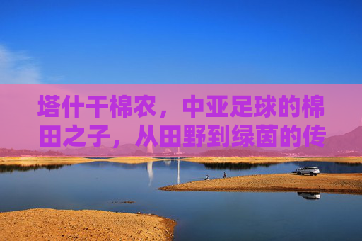 塔什干棉农,中亚足球的棉田之子,从田野到绿茵的传奇征程,塔什干棉农,中亚足球的棉田之子,从田野到绿茵的传奇征程