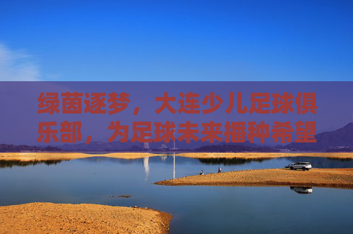 绿茵逐梦,大连少儿足球俱乐部,为足球未来播种希望