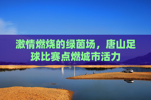 激情燃烧的绿茵场，唐山足球比赛点燃城市活力