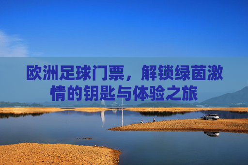 欧洲足球门票,解锁绿茵激情的钥匙与体验之旅