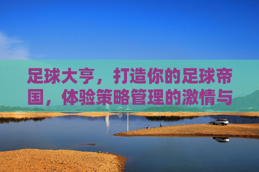 足球大亨,打造你的足球帝国,体验策略管理的激情与荣耀,足球大亨,打造足球帝国,体验策略管理的激情与荣耀