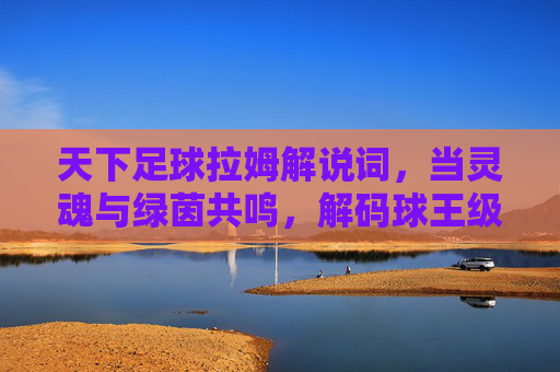 天下足球拉姆解说词，当灵魂与绿茵共鸣，解码球王级角色的赛场诗篇，天下足球拉姆解说词，当灵魂与绿茵共鸣，解码球王级角色的赛场诗篇