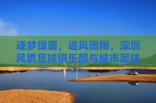 逐梦绿茵,逐风而翔,深圳风鹏足球俱乐部与城市足球的青春交响