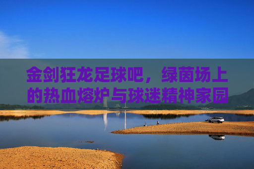 金剑狂龙足球吧，绿茵场上的热血熔炉与球迷精神家园，金剑狂龙足球吧，绿茵场上的热血熔炉与球迷精神家园