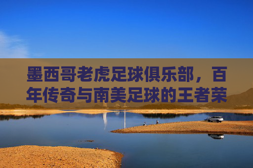 墨西哥老虎足球俱乐部,百年传奇与南美足球的王者荣光