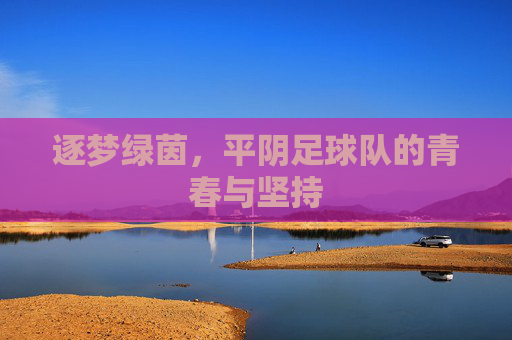 逐梦绿茵,平阴足球队的青春与坚持