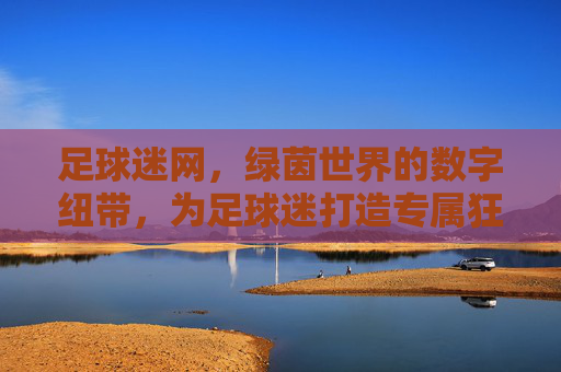 足球迷网,绿茵世界的数字纽带,为足球迷打造专属狂欢场,足球迷网,绿茵世界的数字纽带,为足球迷打造专属狂欢场