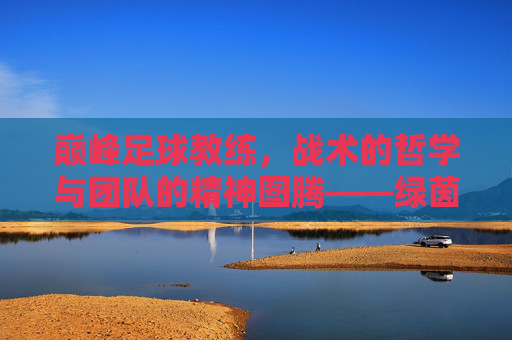 巅峰足球教练，战术的哲学与团队的精神图腾——绿茵场上那些用智慧点燃胜利的传奇，巅峰足球教练，战术的哲学与团队的精神图腾——用智慧点燃胜利的传奇