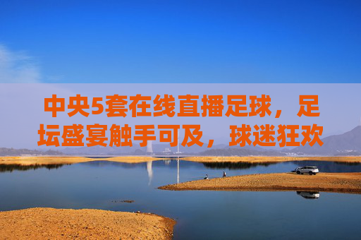 中央5套在线直播足球，足坛盛宴触手可及，球迷狂欢新体验，中央5在线直播足球，足坛盛宴触手可及，球迷狂欢新体验