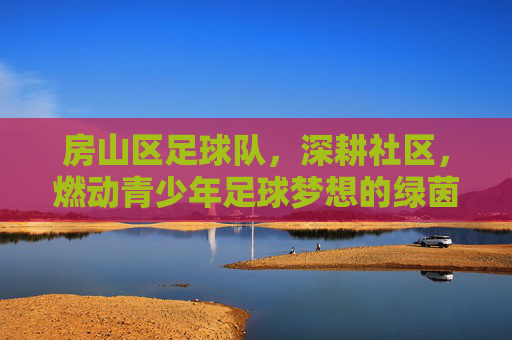 房山区足球队，深耕社区，燃动青少年足球梦想的绿茵力量，房山区足球队，深耕社区，燃动青少年足球梦想的绿茵力量