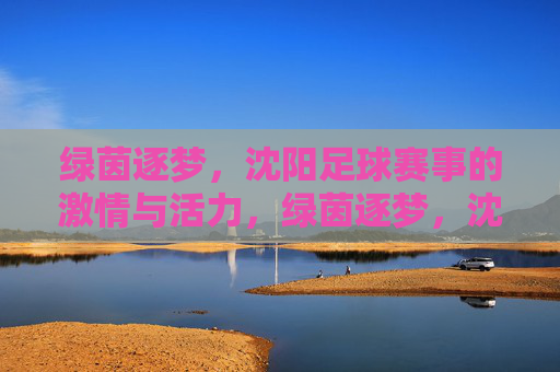 绿茵逐梦，沈阳足球赛事的激情与活力，绿茵逐梦，沈阳足球赛事的激情与活力