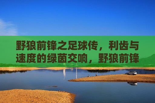 野狼前锋之足球传，利齿与速度的绿茵交响，野狼前锋之足球传，利齿与速度的绿茵交响
