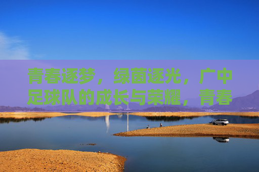 青春逐梦,绿茵逐光,广中足球队的成长与荣耀,青春逐梦,绿茵逐光,广中足球队的成长与荣耀