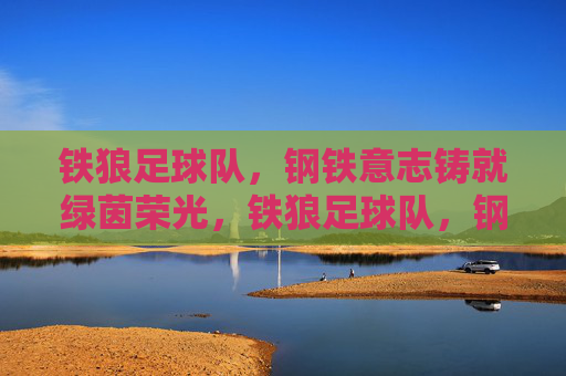 铁狼足球队,钢铁意志铸就绿茵荣光,铁狼足球队,钢铁意志铸就绿茵荣光