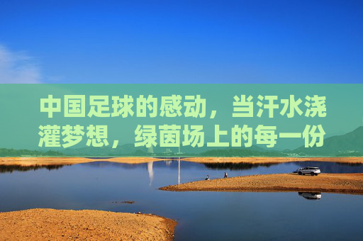 中国足球的感动,当汗水浇灌梦想,绿茵场上的每一份坚持都值得铭记,中国足球的感动,汗水浇灌梦想,绿茵场上的每一份坚持都值得铭记