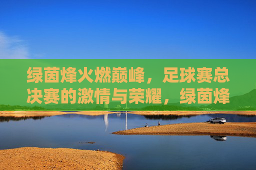 绿茵烽火燃巅峰，足球赛总决赛的激情与荣耀，绿茵烽火燃巅峰，足球赛总决赛的激情与荣耀