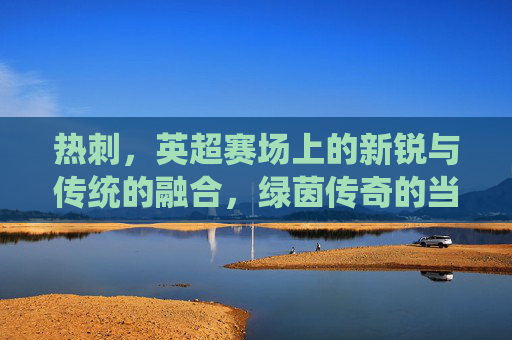 热刺,英超赛场上的新锐与传统的融合,绿茵传奇的当代演绎,热刺,英超赛场新锐与传统的融合,绿茵传奇的当代演绎
