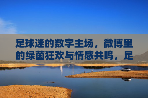 足球迷的数字主场，微博里的绿茵狂欢与情感共鸣，足球迷的数字主场，微博里的绿茵狂欢与情感共鸣