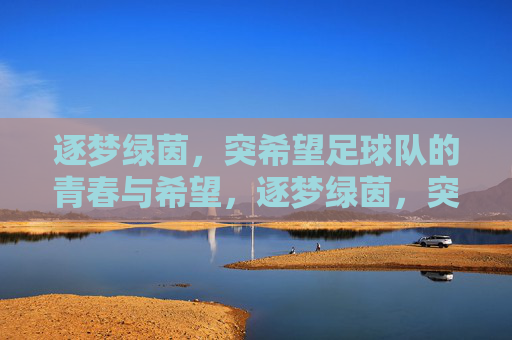 逐梦绿茵，突希望足球队的青春与希望，逐梦绿茵，突希望足球队的青春与希望