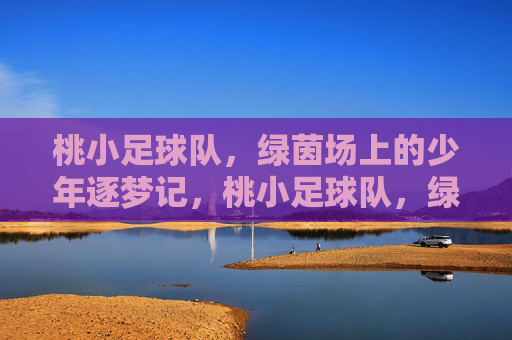 桃小足球队,绿茵场上的少年逐梦记,桃小足球队,绿茵场上的少年逐梦记