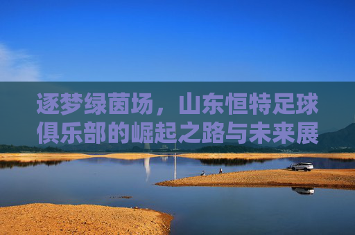 逐梦绿茵场,山东恒特足球俱乐部的崛起之路与未来展望,逐梦绿茵场,山东恒特足球俱乐部的崛起之路与未来展望
