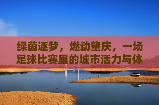 绿茵逐梦，燃动肇庆，一场足球比赛里的城市活力与体育精神，绿茵逐梦，燃动肇庆，一场足球比赛里的城市活力与体育精神