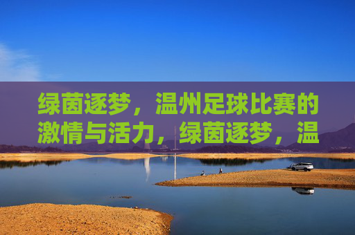 绿茵逐梦，温州足球比赛的激情与活力，绿茵逐梦，温州足球比赛的激情与活力