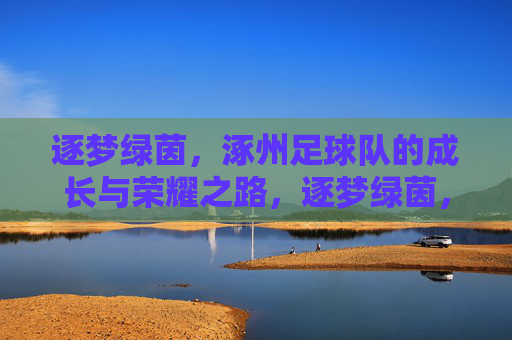 逐梦绿茵，涿州足球队的成长与荣耀之路，逐梦绿茵，涿州足球队的成长与荣耀之路