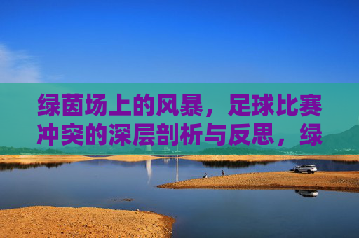 绿茵场上的风暴,足球比赛冲突的深层剖析与反思,绿茵场上的风暴,足球比赛冲突的深层剖析与反思