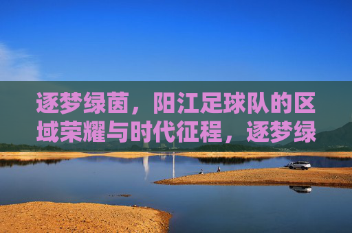 逐梦绿茵，阳江足球队的区域荣耀与时代征程，逐梦绿茵，阳江足球队的区域荣耀与时代征程