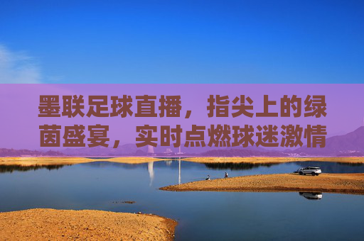 墨联足球直播，指尖上的绿茵盛宴，实时点燃球迷激情，墨联足球直播，指尖上的绿茵盛宴，实时点燃球迷激情