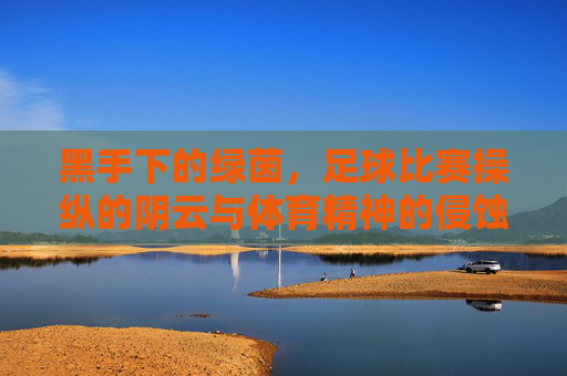 黑手下的绿茵,足球比赛操纵的阴云与体育精神的侵蚀,黑手下的绿茵,足球比赛操纵的阴云与体育精神的侵蚀