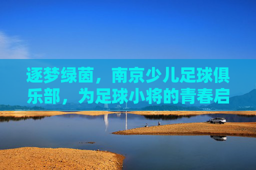逐梦绿茵，南京少儿足球俱乐部，为足球小将的青春启航，逐梦绿茵，南京少儿足球俱乐部，为足球小将的青春启航
