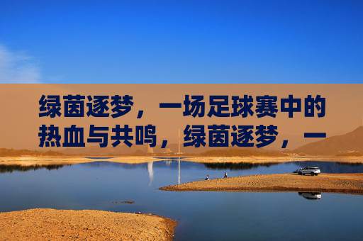 绿茵逐梦，一场足球赛中的热血与共鸣，绿茵逐梦，一场足球赛中的热血与共鸣