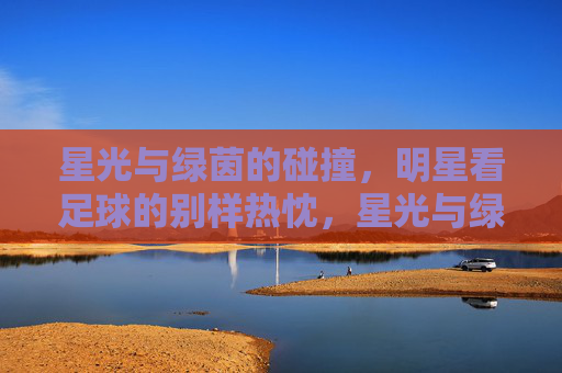 星光与绿茵的碰撞，明星看足球的别样热忱，星光与绿茵的碰撞，明星看足球的别样热忱