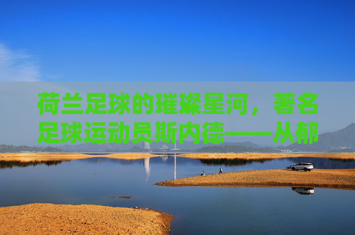 荷兰足球的璀璨星河，著名足球运动员斯内德——从郁金香国到世界足坛的传奇征程，荷兰足球的璀璨星河，斯内德——从郁金香国到世界足坛的传奇征程