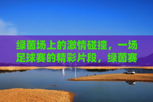 绿茵场上的激情碰撞,一场足球赛的精彩片段,绿茵赛场激情碰撞,足球赛的精彩片段