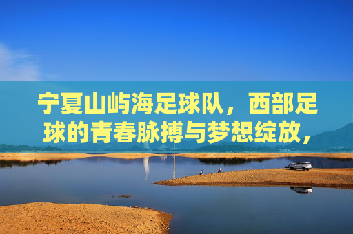 宁夏山屿海足球队,西部足球的青春脉搏与梦想绽放,宁夏山屿海足球队,西部足球的青春脉搏与梦想绽放